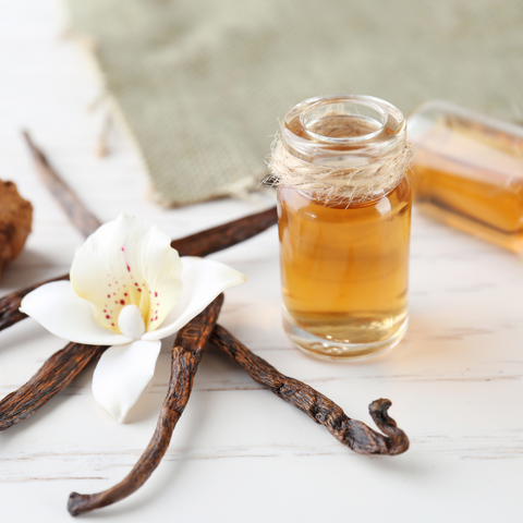 Vanilla Lover's Sample Pack - 6 fl oz bottles